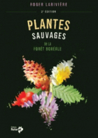 Plantes sauvages de la forêt boréale